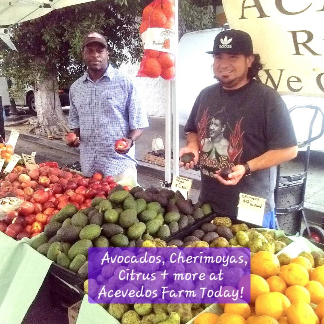 Acevedos Farm — avocados, cherimoyas & citrus at the Highland Park Farmers Market