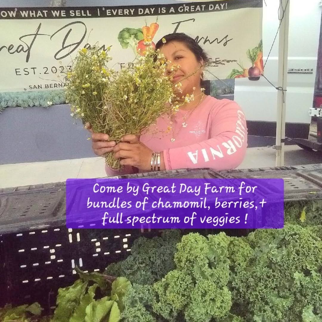 Great Day Farm — chamomile bunches, berries & full spectrum of veggies